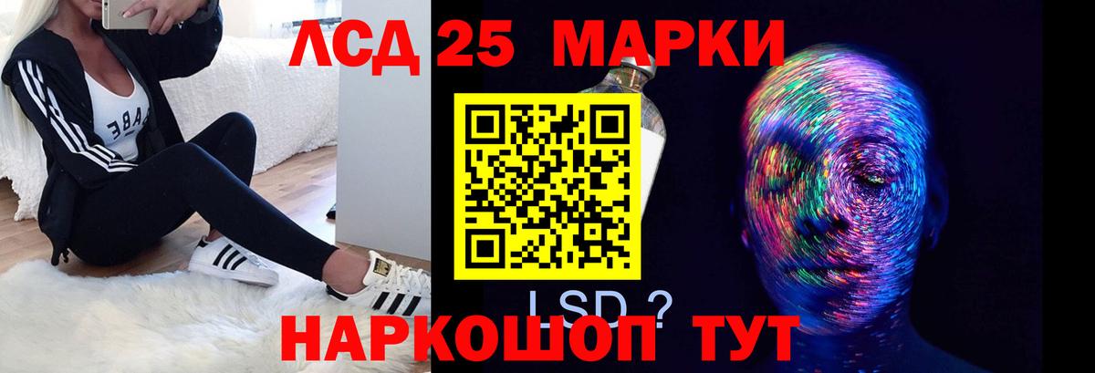 LSD-25 экстази  Вход с VPN  Чернушка  Лсд 25 экстази кислота  LSD-25 экстази кислота 